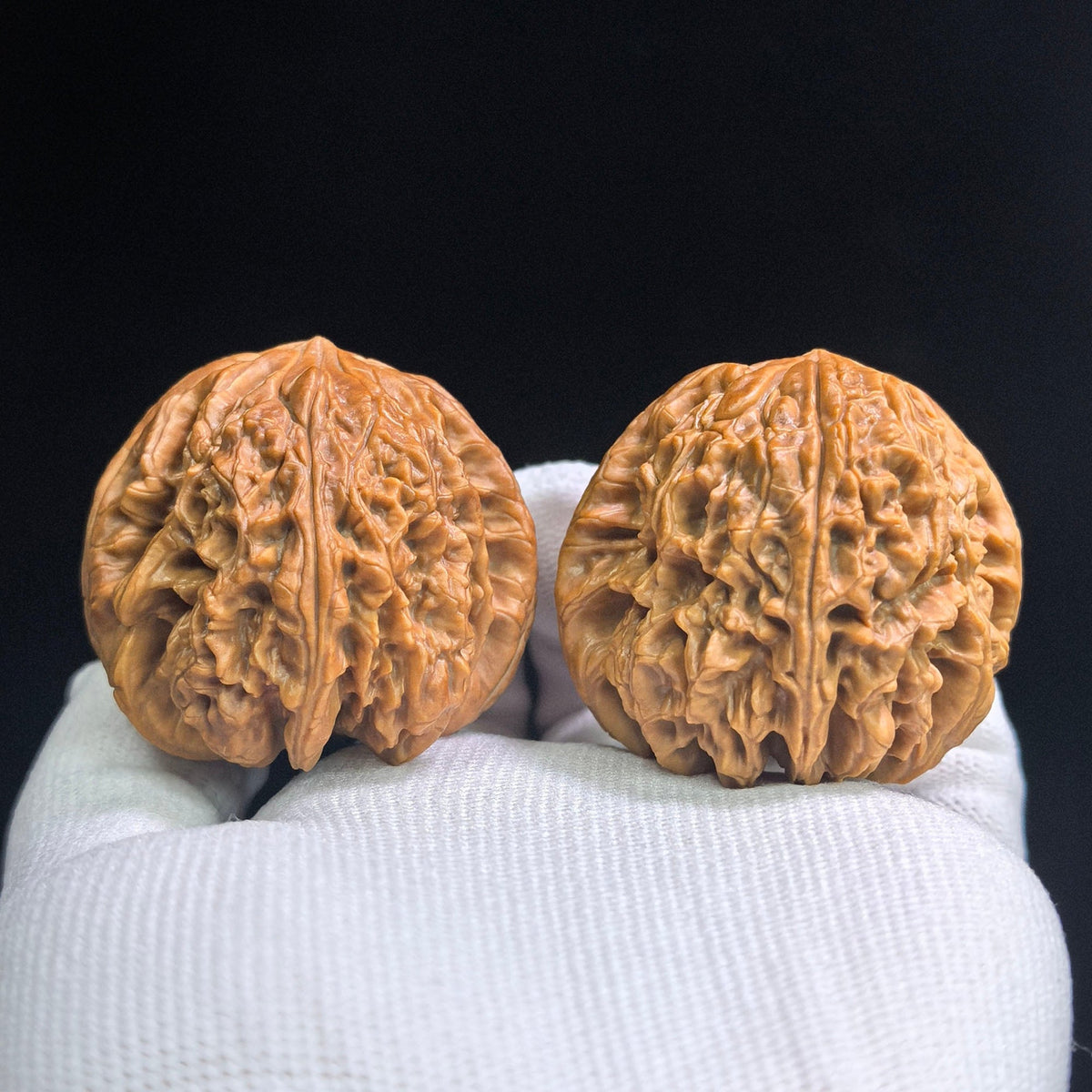 Blizzard Wenwan Walnuts Pair | Large Size 44.0mm × 45.0mm | BX-SY1A4 - ThePatinaProject