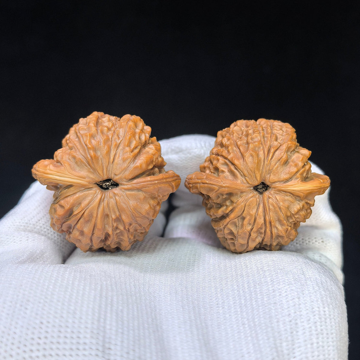 “Blood Qilin” Xue Qilin Wenwan Walnut Pair | Compact 37mm Collector Pair | 37.0mm × 37.0mm | XQL-1102 - ThePatinaProject