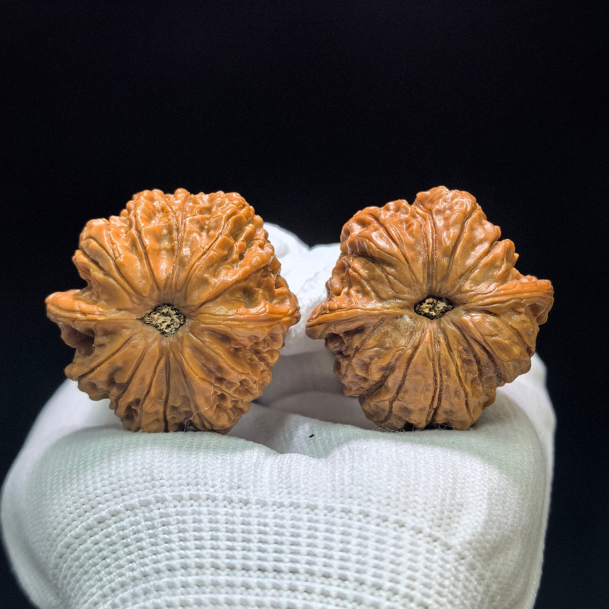 "Blood Qilin" Xue Qilin XQL-1601 Low-Profile Wenwan Walnuts Pair | 38.0mm x 38.0mm | XQL-1601 - ThePatinaProject