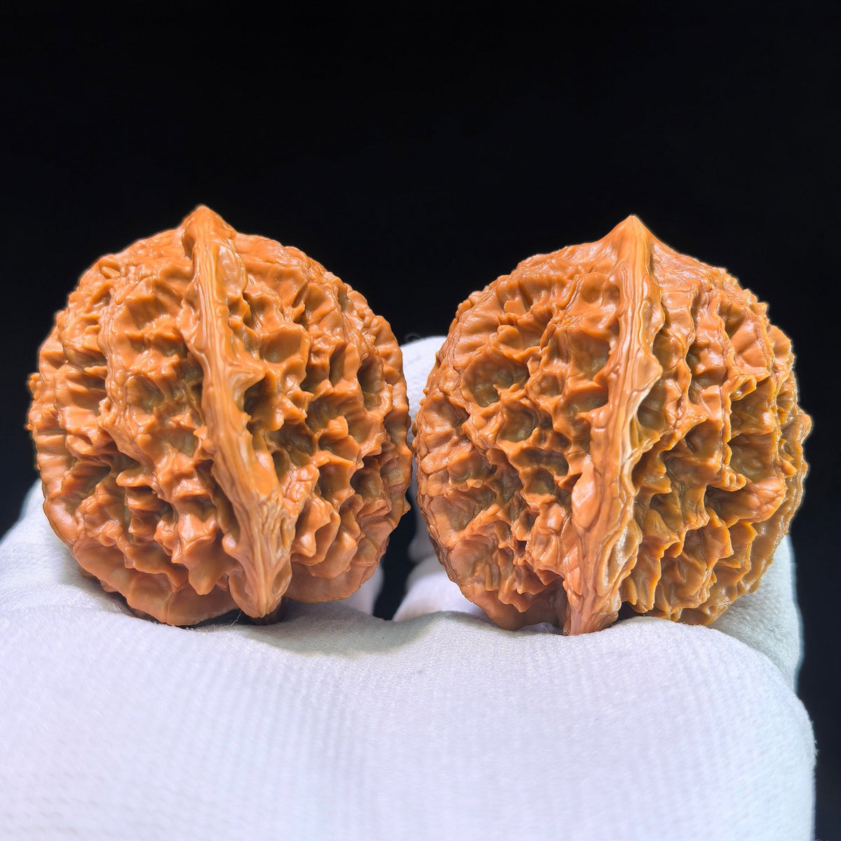 [Boutique Grade] The "Large Spike" (Da Ci) Matched Pair | 42.0mm x 45.0mm | DC-1201C - ThePatinaProject