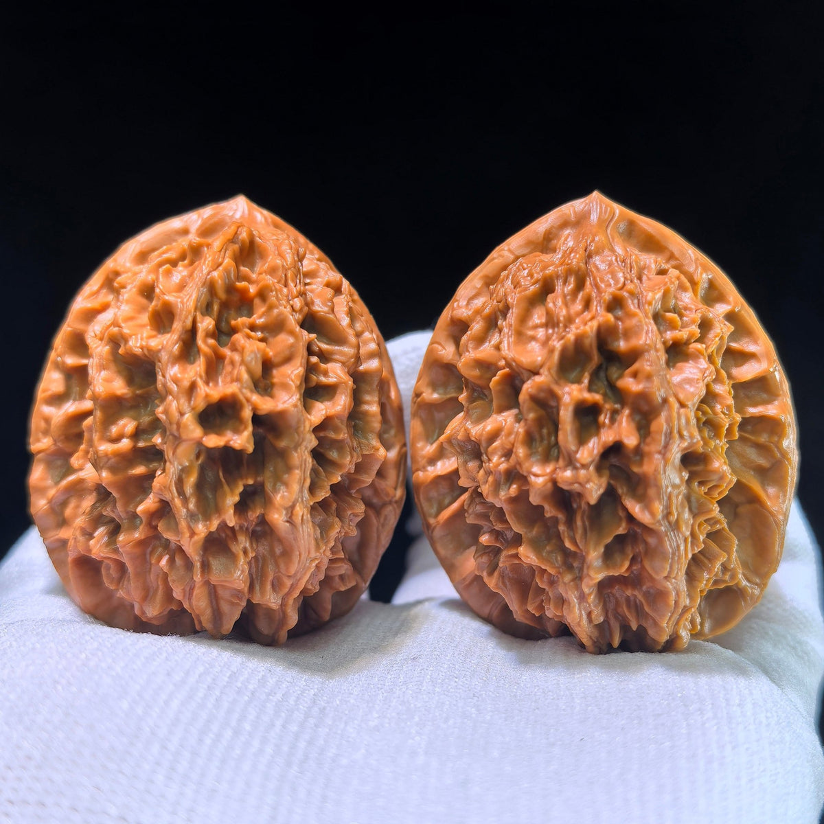 [Boutique Grade] The "Large Spike" (Da Ci) Matched Pair | 42.0mm x 45.0mm | DC-1201C - ThePatinaProject