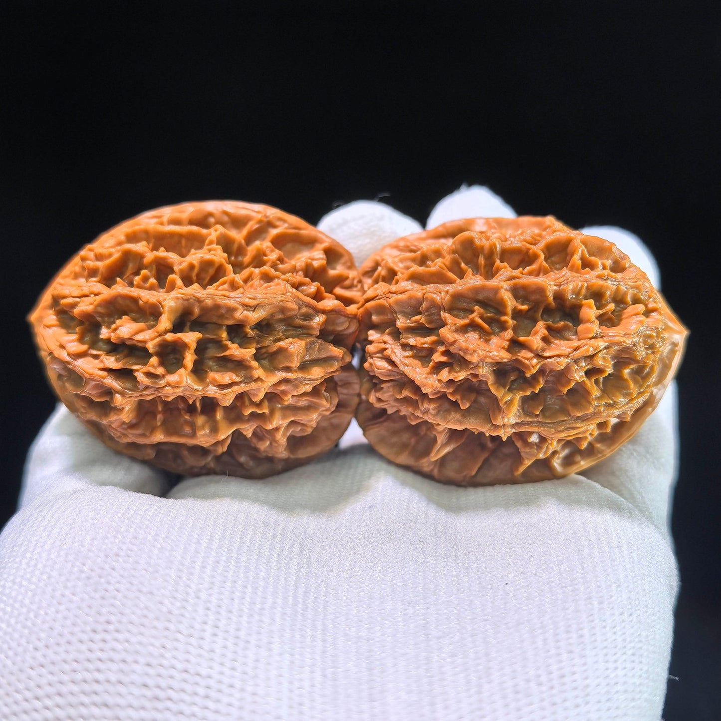 [Boutique Grade] The "Large Spike" (Da Ci) Matched Pair | 42.0mm x 45.0mm | DC-1201C - ThePatinaProject