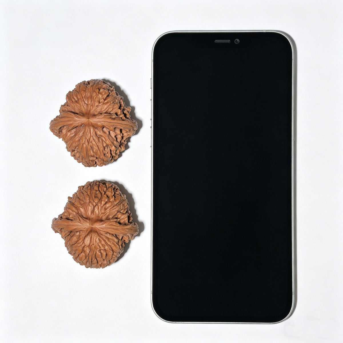 [Boutique Grade] The "Nanjiang Stone" (NJS) Concave-Base Sphere Matched Pair | 43.0mm x 43.0mm | NJS-1203C - ThePatinaProject