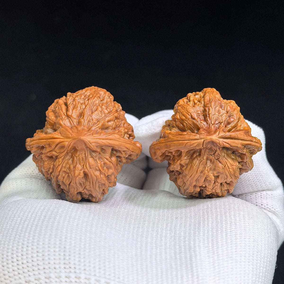 Broad-Bodied Concave-Base Pinggu Wenwan Walnut Pair — 37.0mm x 38.0mm | PGAD-SY1B8 - ThePatinaProject