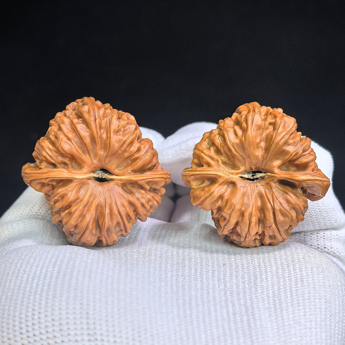 Broad-Bodied Concave-Base Pinggu Wenwan Walnut Pair — 37.0mm x 38.0mm | PGAD-SY1B8 - ThePatinaProject