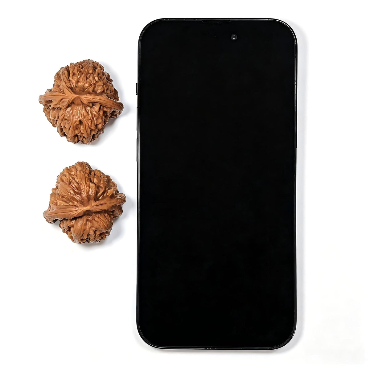 Broad-Bodied Concave-Base Pinggu Wenwan Walnut Pair — 37.0mm x 38.0mm | PGAD-SY1B8 - ThePatinaProject
