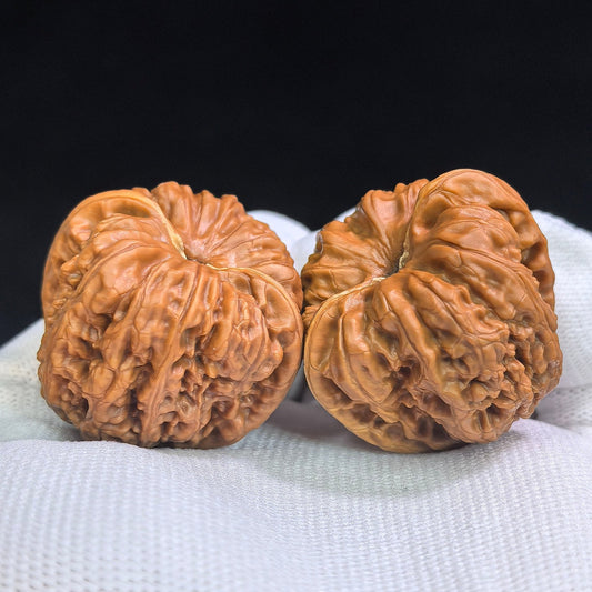 Broad-Bodied Concave-Base Pinggu Wenwan Walnut Pair — 37.0mm x 38.0mm | PGAD-SY1B8 - ThePatinaProject
