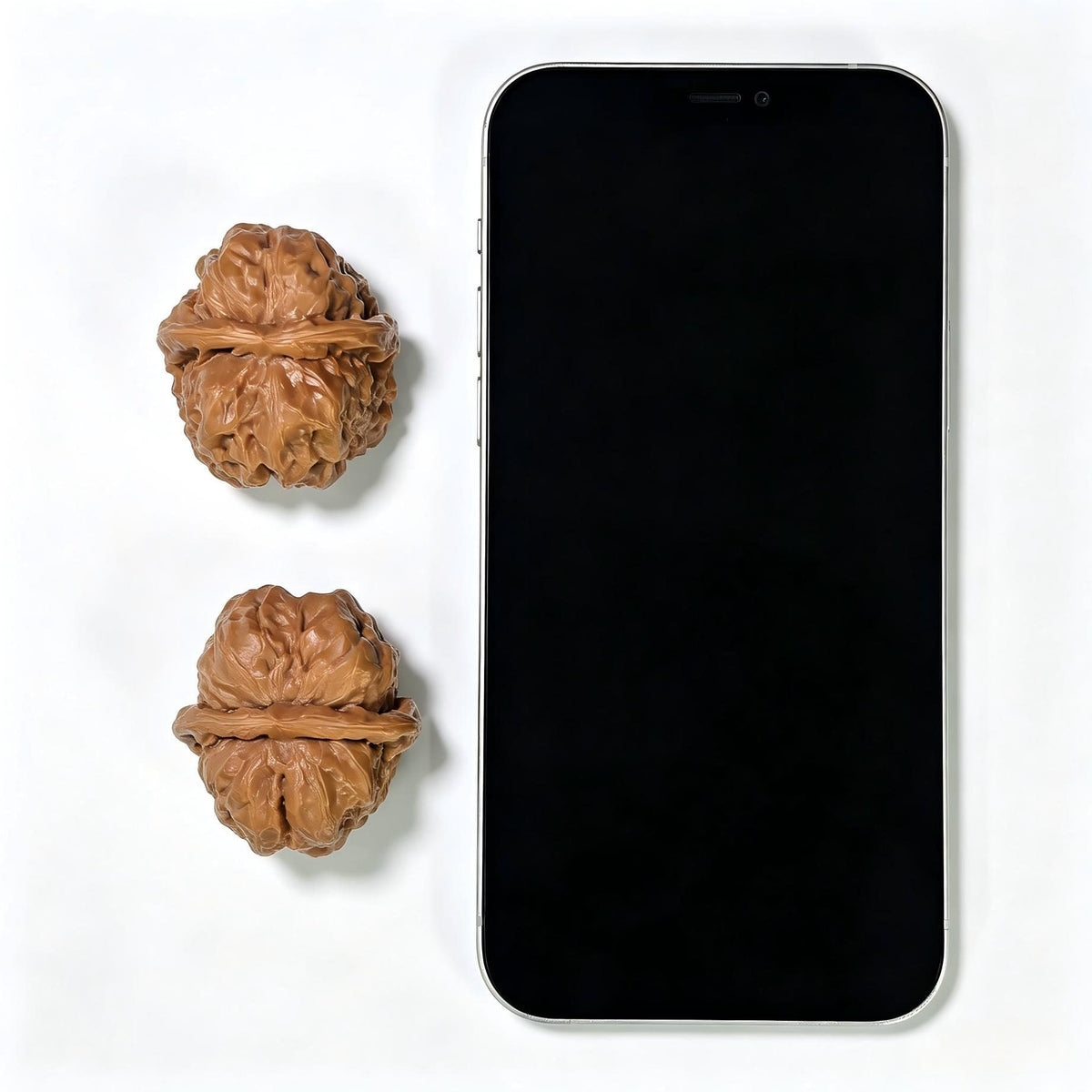 Broad-Bodied Deep-Textured Toad Head Wenwan Walnut Pair — 36.0mm x 41.0mm | HMT-1504C - ThePatinaProject