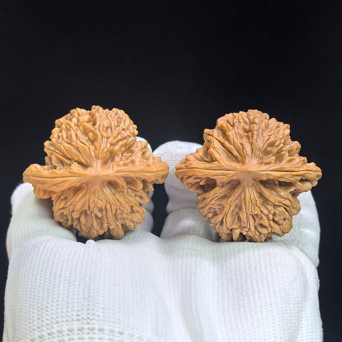 Broad-Crowned Deep-Textured Xiayunling Wenwan Walnut Pair — 45.0mm x 42.0mm | XYL-17C0C - ThePatinaProject