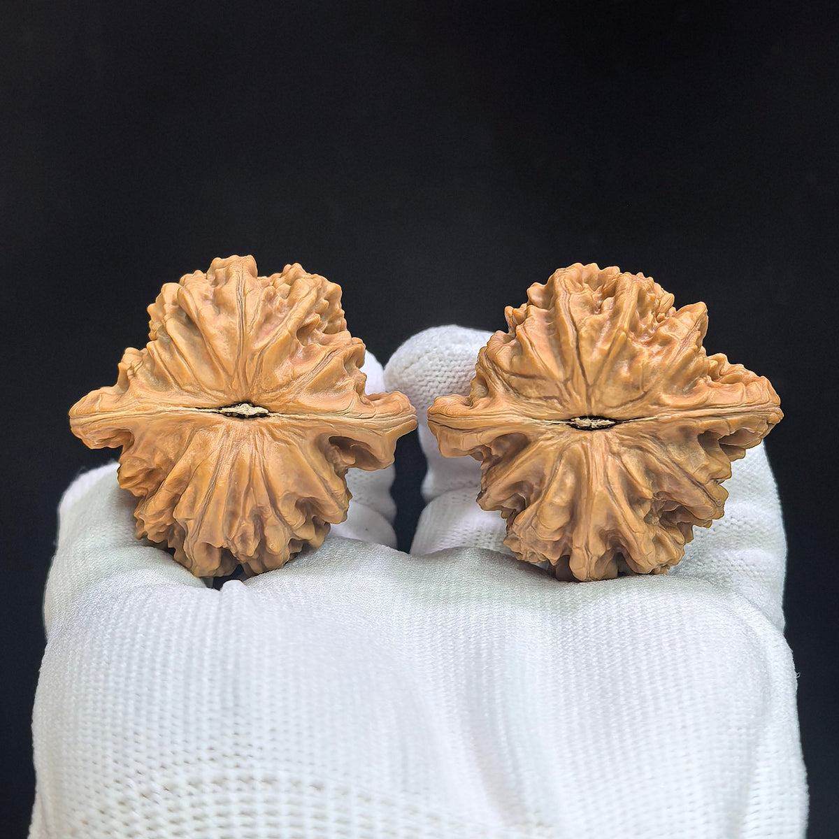 Broad-Crowned Deep-Textured Xiayunling Wenwan Walnut Pair — 45.0mm x 42.0mm | XYL-17C0C - ThePatinaProject