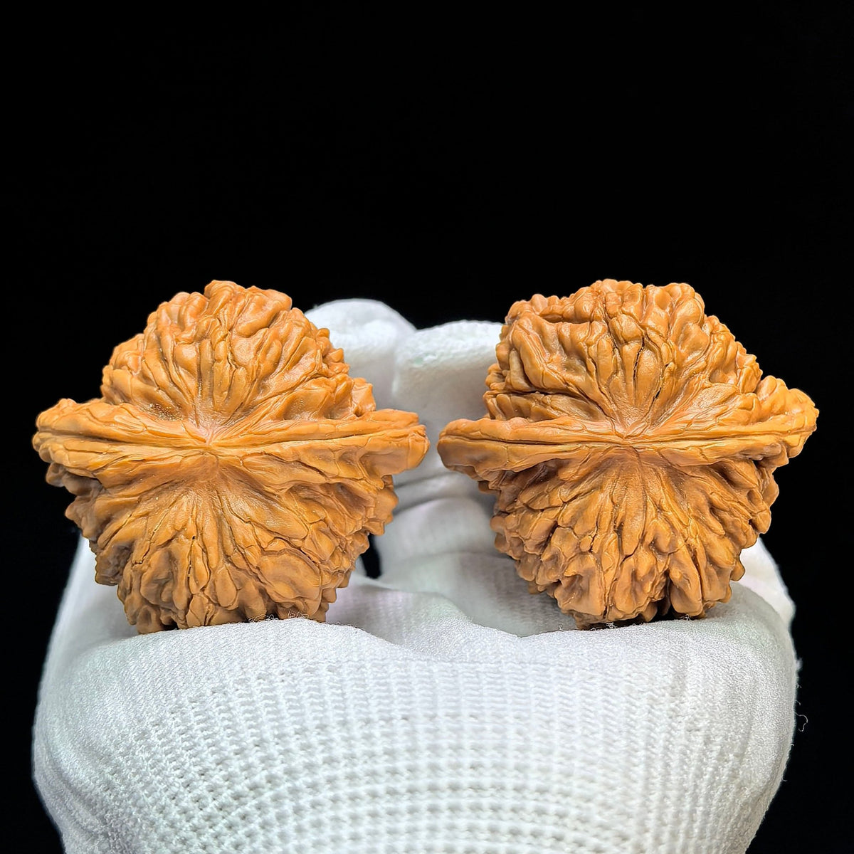 "Butterfly Huakun Dragon" Hudie Huakunlong Low-Profile Wenwan Walnuts Pair | 48.0mm x 46.0mm | HKL-1506C - ThePatinaProject