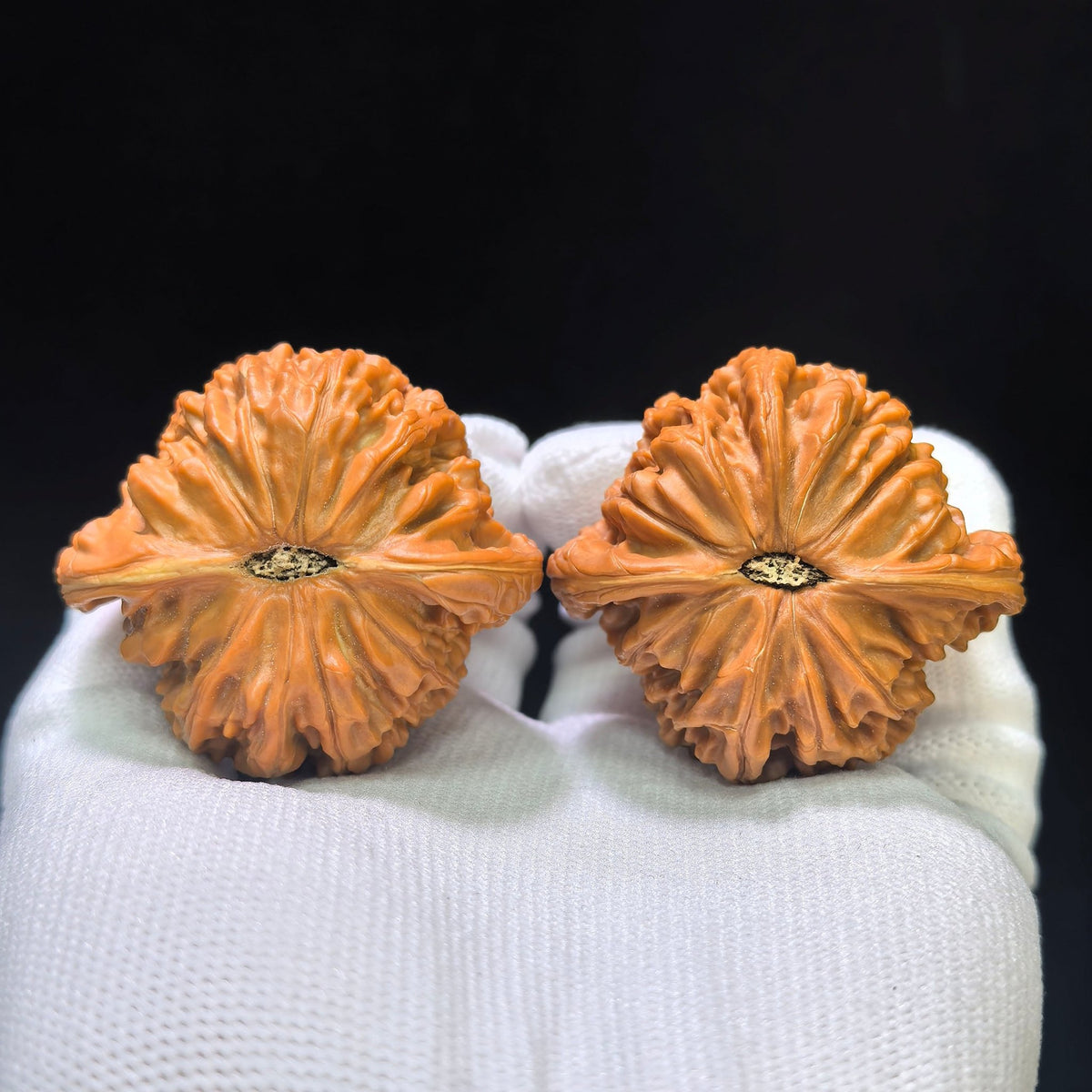 "Butterfly Millstone" Butterfly Mopan Wenwan Walnuts (Pair) | 46.0mm x 42.0mm | Stock ID: HDMP-1551C - ThePatinaProject