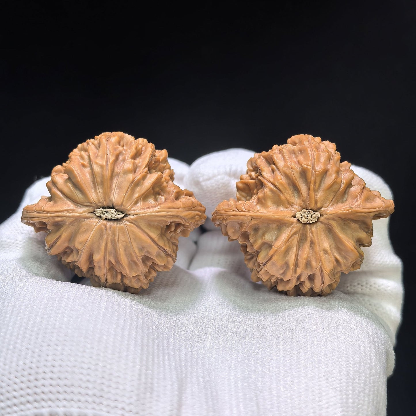 "Butterfly Millstone" Hudie Mopan Low-Profile Wenwan Walnuts Pair | 41.0mm x 37.0mm | MP-1505C - ThePatinaProject