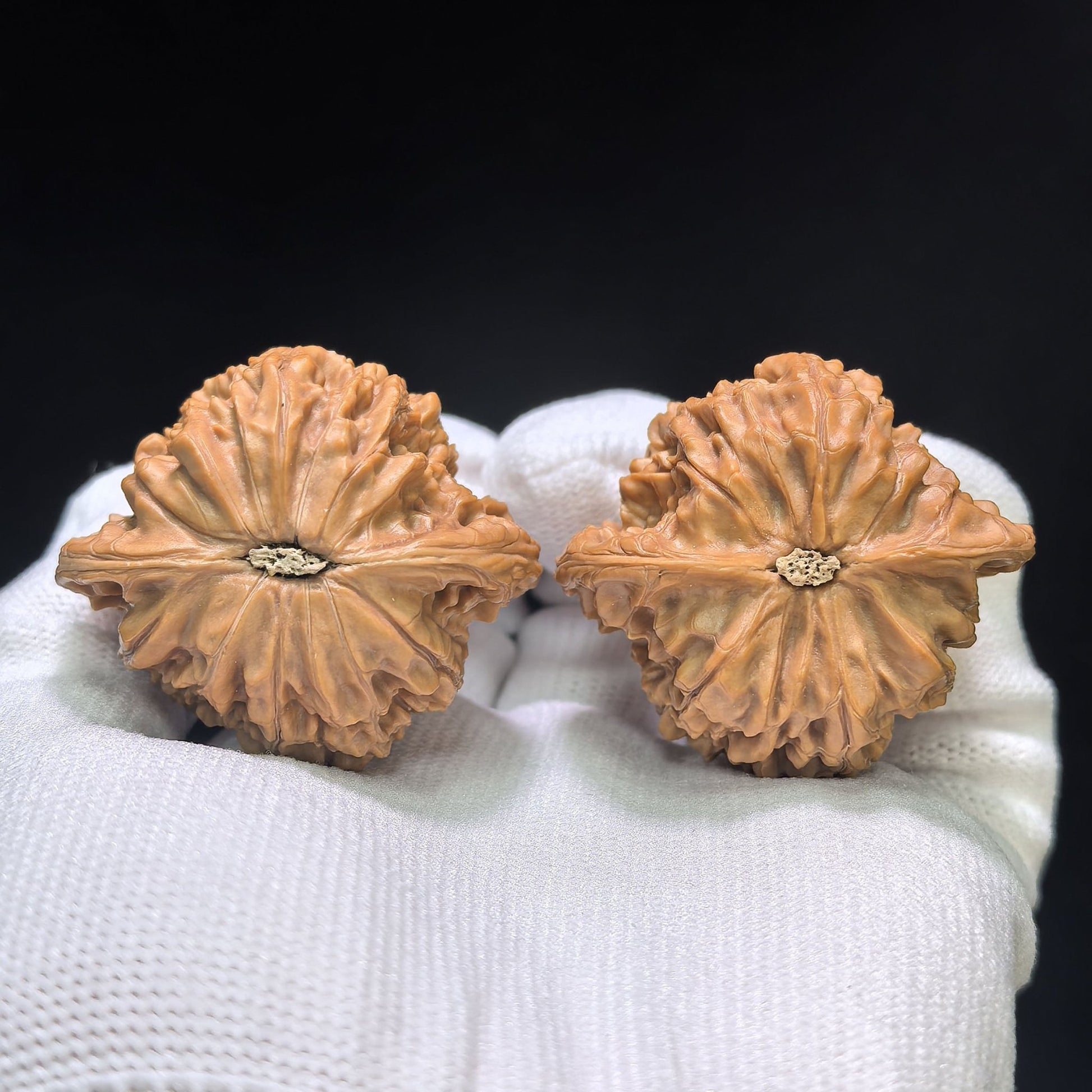 "Butterfly Millstone" Hudie Mopan Low-Profile Wenwan Walnuts Pair | 41.0mm x 37.0mm | MP-1505C - ThePatinaProject