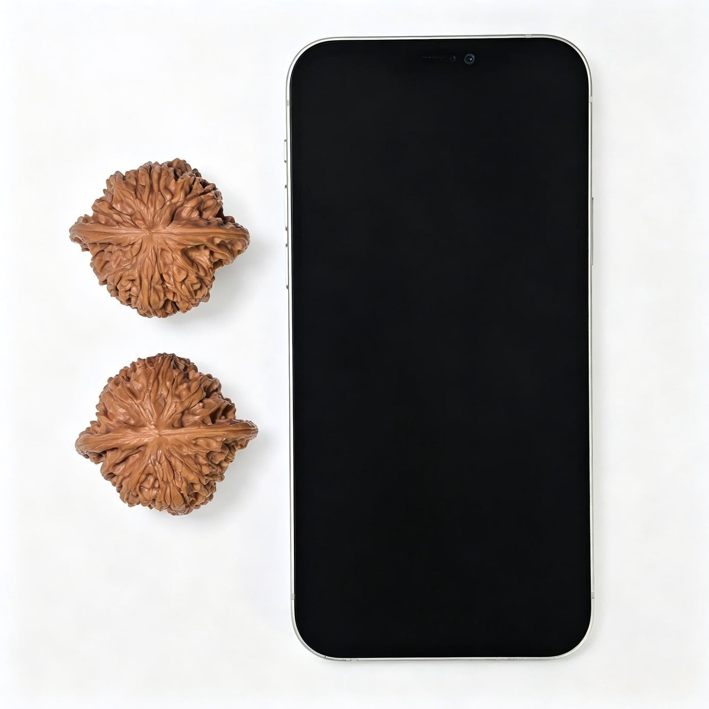 "Butterfly Millstone" Hudie Mopan Low-Profile Wenwan Walnuts Pair | 41.0mm x 37.0mm | MP-1505C - ThePatinaProject