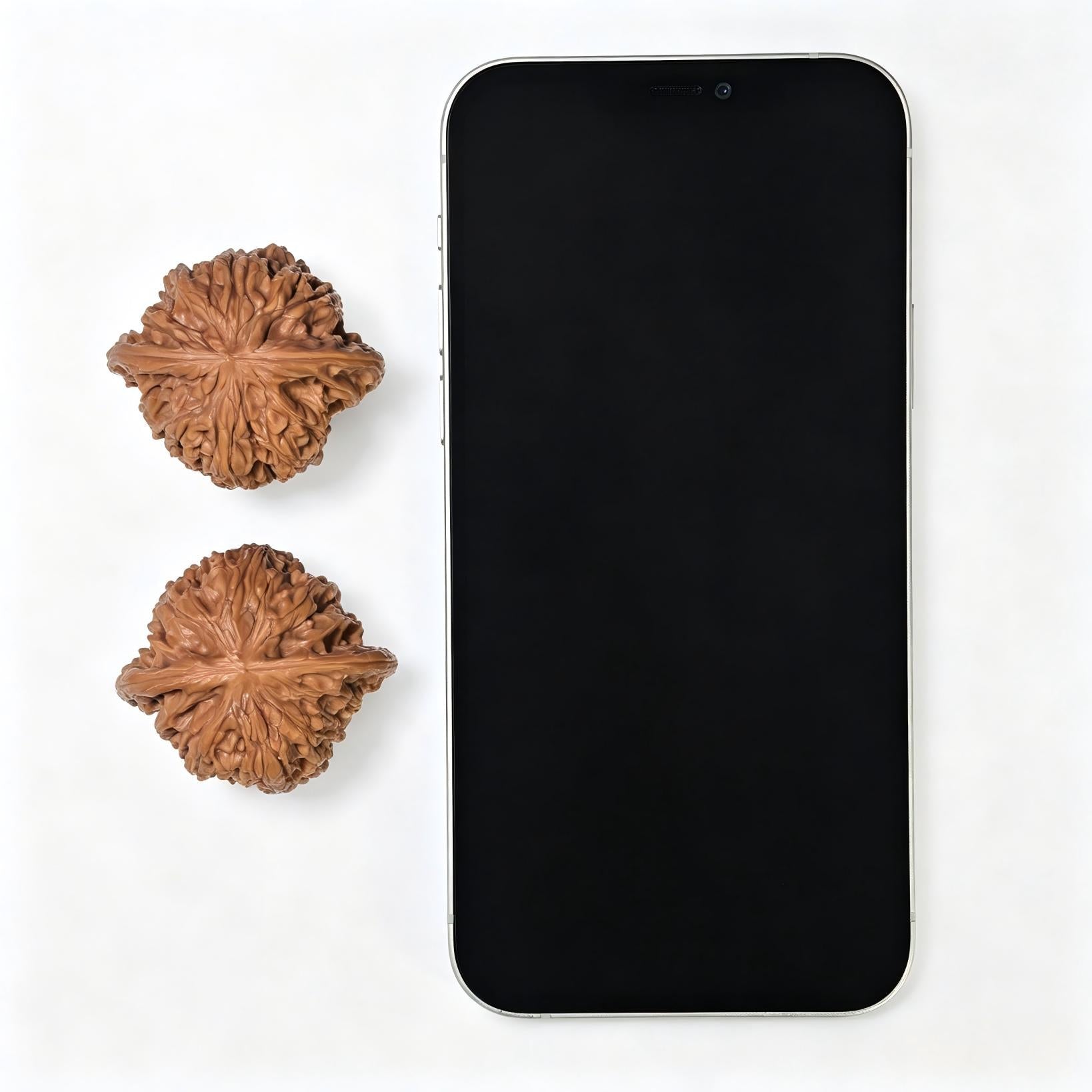 "Butterfly Millstone" Hudie Mopan Low-Profile Wenwan Walnuts Pair | 41.0mm x 37.0mm | MP-1505C - ThePatinaProject