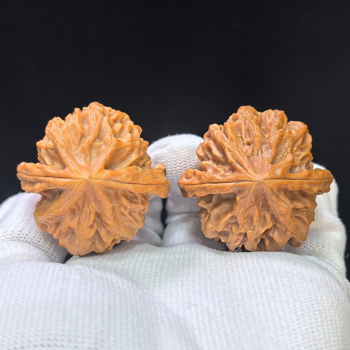 "Cao Da Long" Master Lineage CaoDaLong CAL-1111 Wenwan Walnuts Collector Pair | 40.0mm x 40.0mm | Stock ID: CAL-1111 - ThePatinaProject