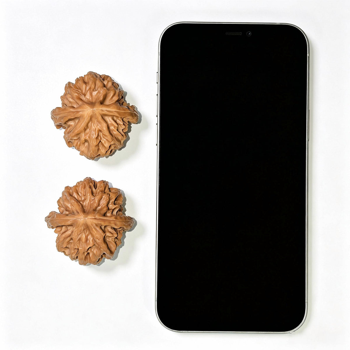 "Cao Da Long" Master Lineage CaoDaLong CAL-1111 Wenwan Walnuts Collector Pair | 40.0mm x 40.0mm | Stock ID: CAL-1111 - ThePatinaProject