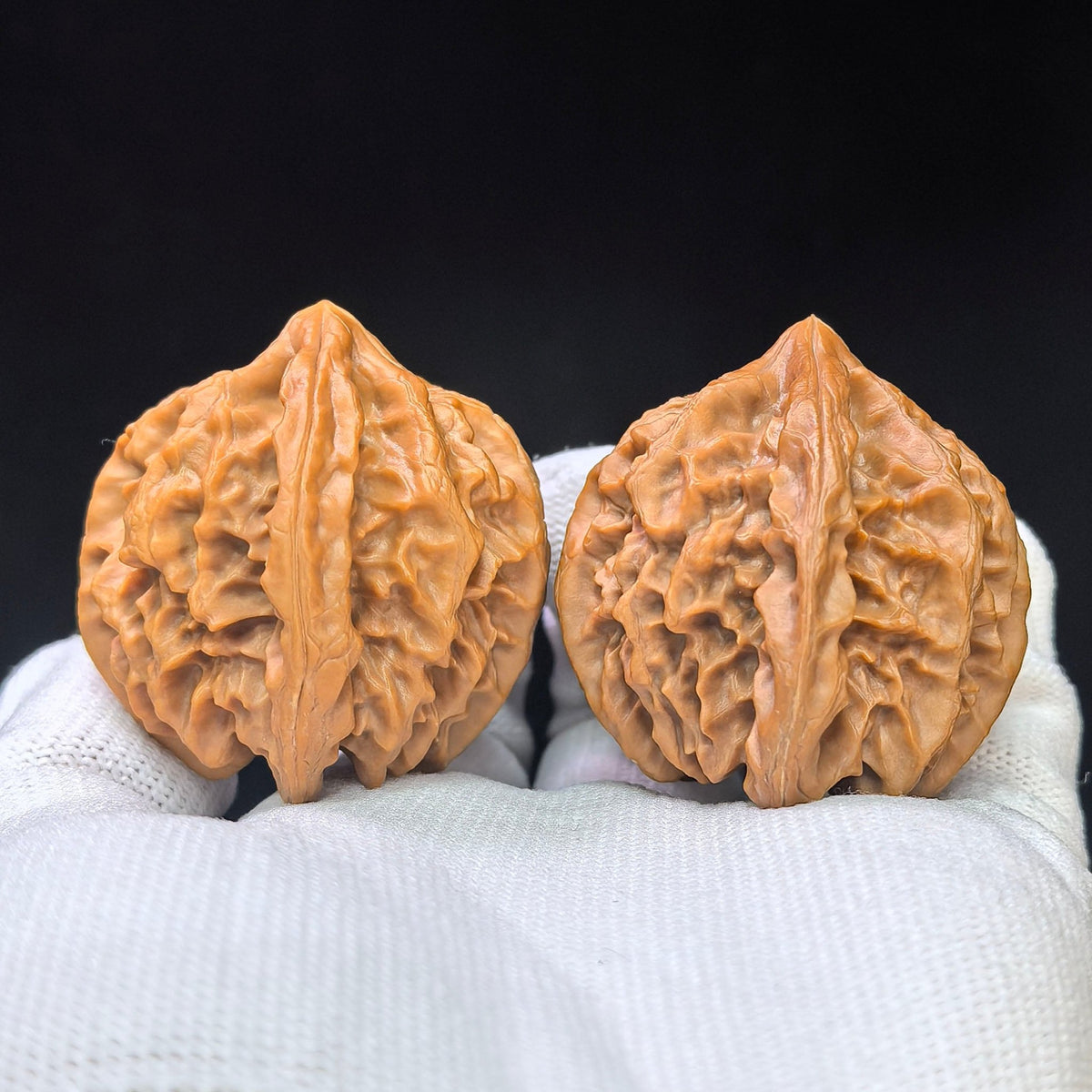 "Cao Da Long" Master Lineage CaoDaLong CAL-1111 Wenwan Walnuts Collector Pair | 40.0mm x 40.0mm | Stock ID: CAL-1111 - ThePatinaProject