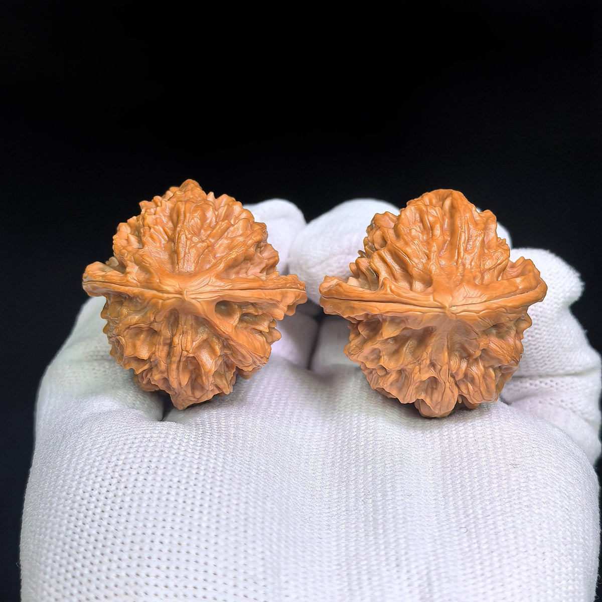 Cao Dalong Tiancanjiao Wenwan Walnuts Pair | Broad-Winged Sculptural Form | 38.0mm × 39.0mm | LDTC-C1D6E - ThePatinaProject