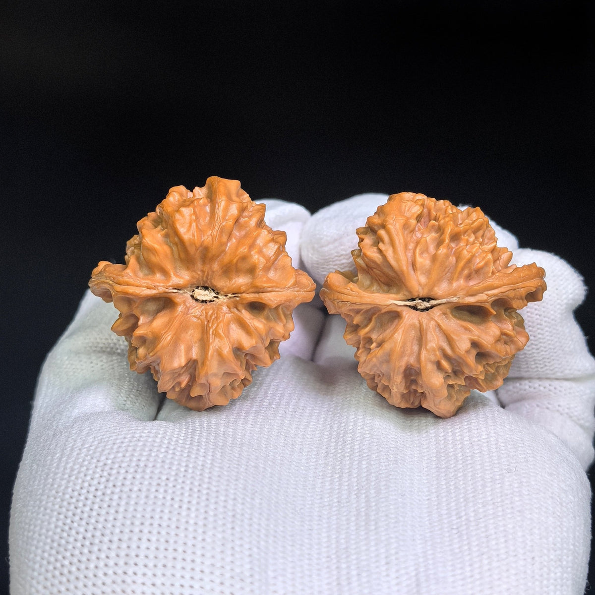 Cao Dalong Tiancanjiao Wenwan Walnuts Pair | Broad-Winged Sculptural Form | 38.0mm × 39.0mm | LDTC-C1D6E - ThePatinaProject