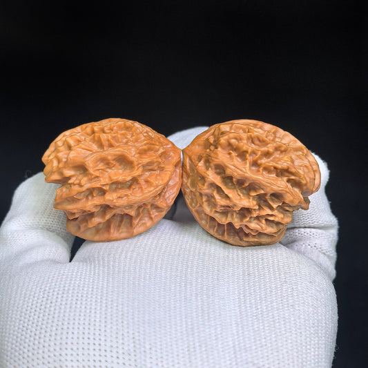 Cao Dalong Tiancanjiao Wenwan Walnuts Pair | Broad-Winged Sculptural Form | 38.0mm × 39.0mm | LDTC-C1D6E - ThePatinaProject