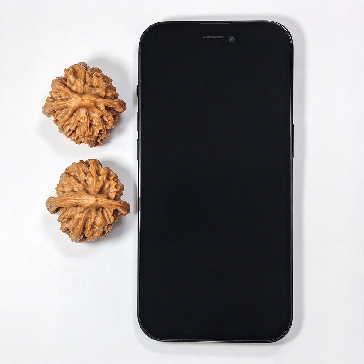 Cao Dalong Tiancanjiao Wenwan Walnuts Pair | Broad-Winged Sculptural Form | 38.0mm × 39.0mm | LDTC-C1D6E - ThePatinaProject