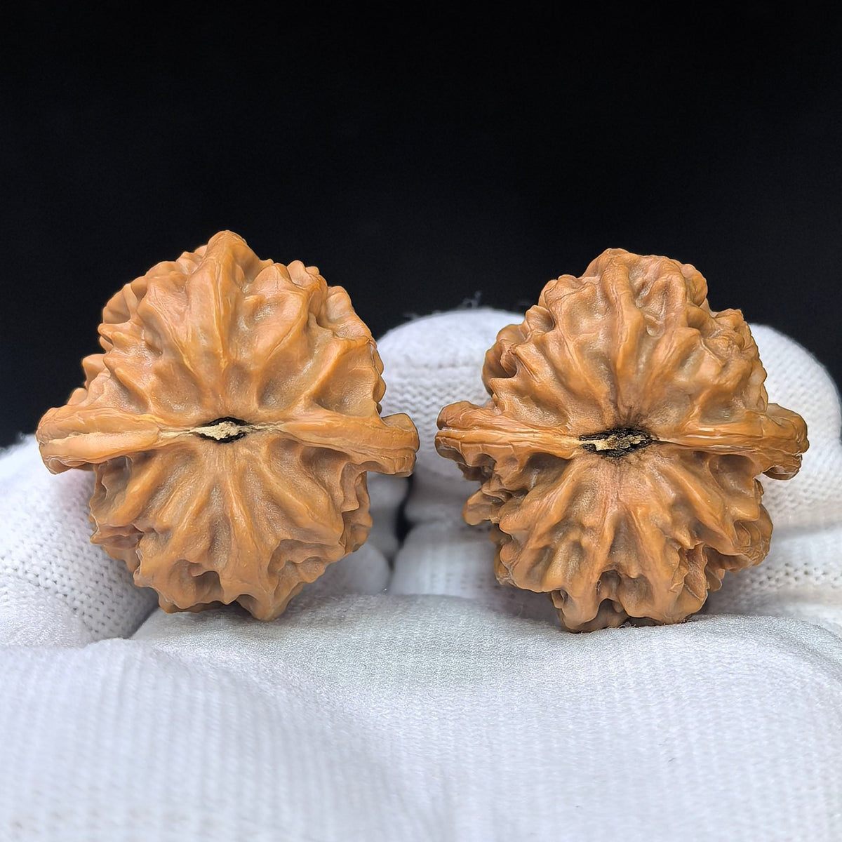 "Cao Great Dragon" Cao Dalong CDL-17D5 Low-Profile Wenwan Walnuts Pair | 35.0mm x 36.0mm | CDL-17D5 - ThePatinaProject