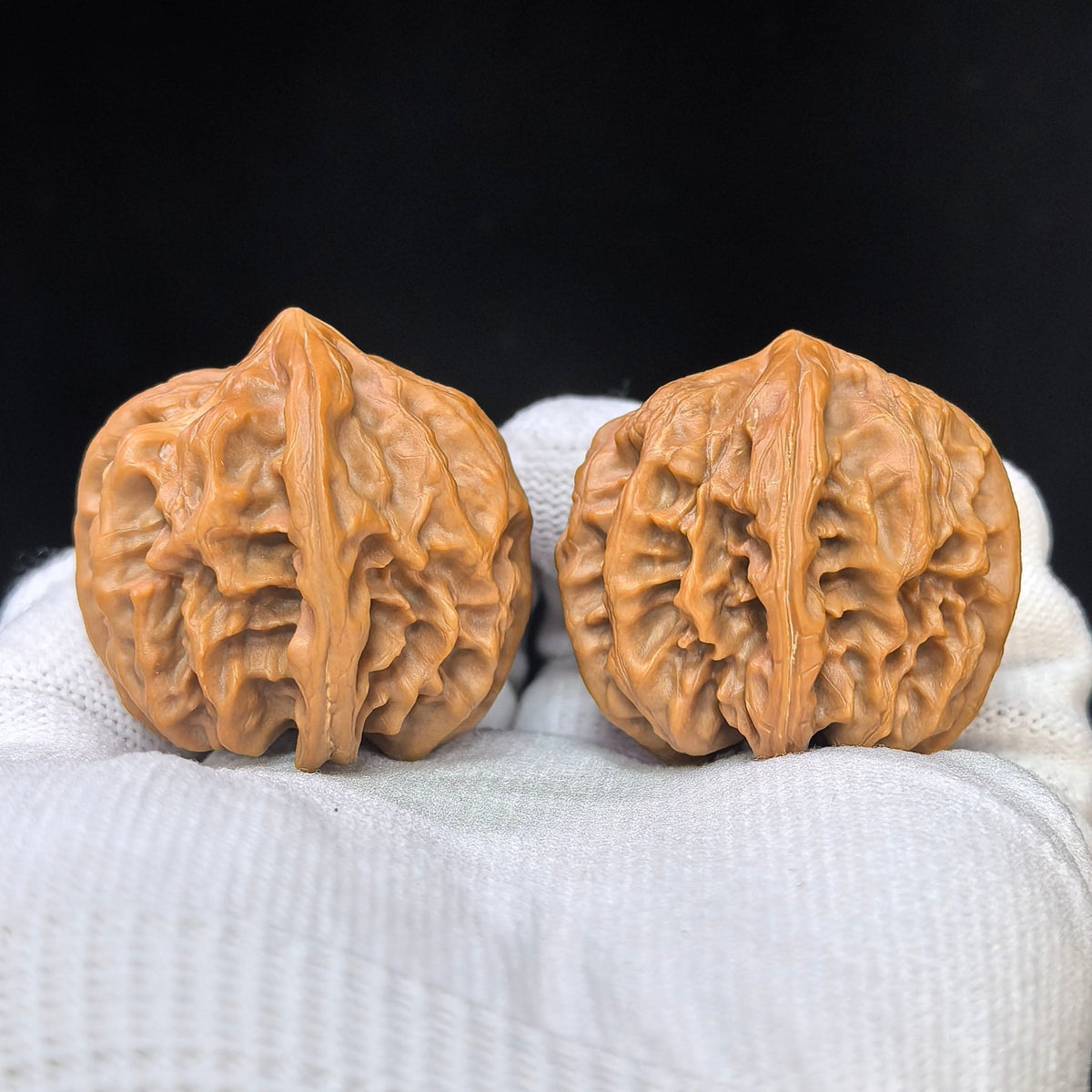 "Cao Great Dragon" Cao Dalong CDL-17D5 Low-Profile Wenwan Walnuts Pair | 35.0mm x 36.0mm | CDL-17D5 - ThePatinaProject