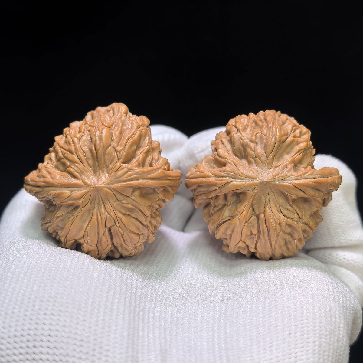 "Classic Millstone" Mopan Low-Profile Wenwan Walnuts Pair | 39.0mm x 38.0mm | MP-1504C - ThePatinaProject