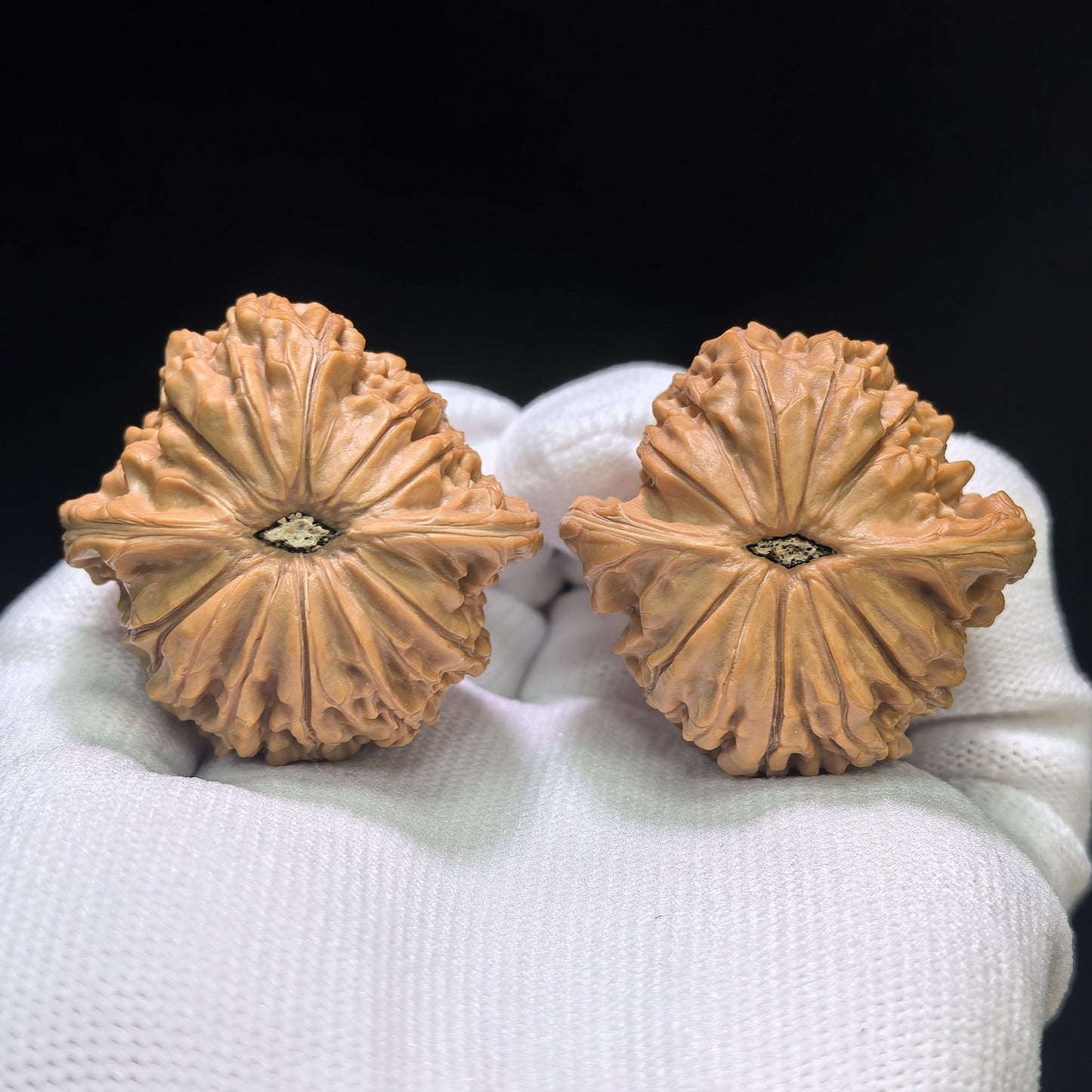 "Classic Millstone" Mopan Low-Profile Wenwan Walnuts Pair | 39.0mm x 38.0mm | MP-1504C - ThePatinaProject
