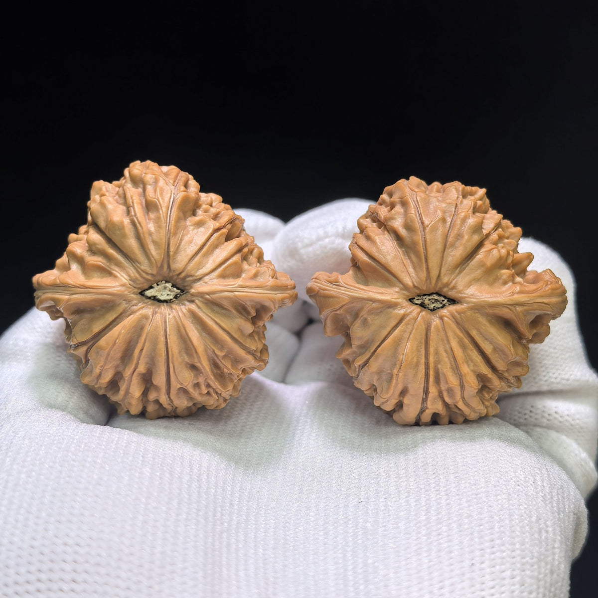 "Classic Millstone" Mopan Low-Profile Wenwan Walnuts Pair | 39.0mm x 38.0mm | MP-1504C - ThePatinaProject