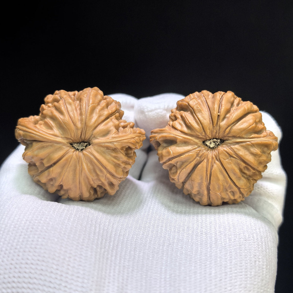 "Classic Millstone" Zheng Mopan Low-Profile Wenwan Walnuts Pair | 42.0mm x 38.0mm | MP-1506C - ThePatinaProject