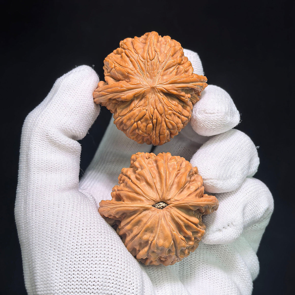 "Classic Mopan / Millstone" Heirloom Collection Wenwan Walnuts Pair | 42.0mm x 41.0mm | MP-1002 - ThePatinaProject