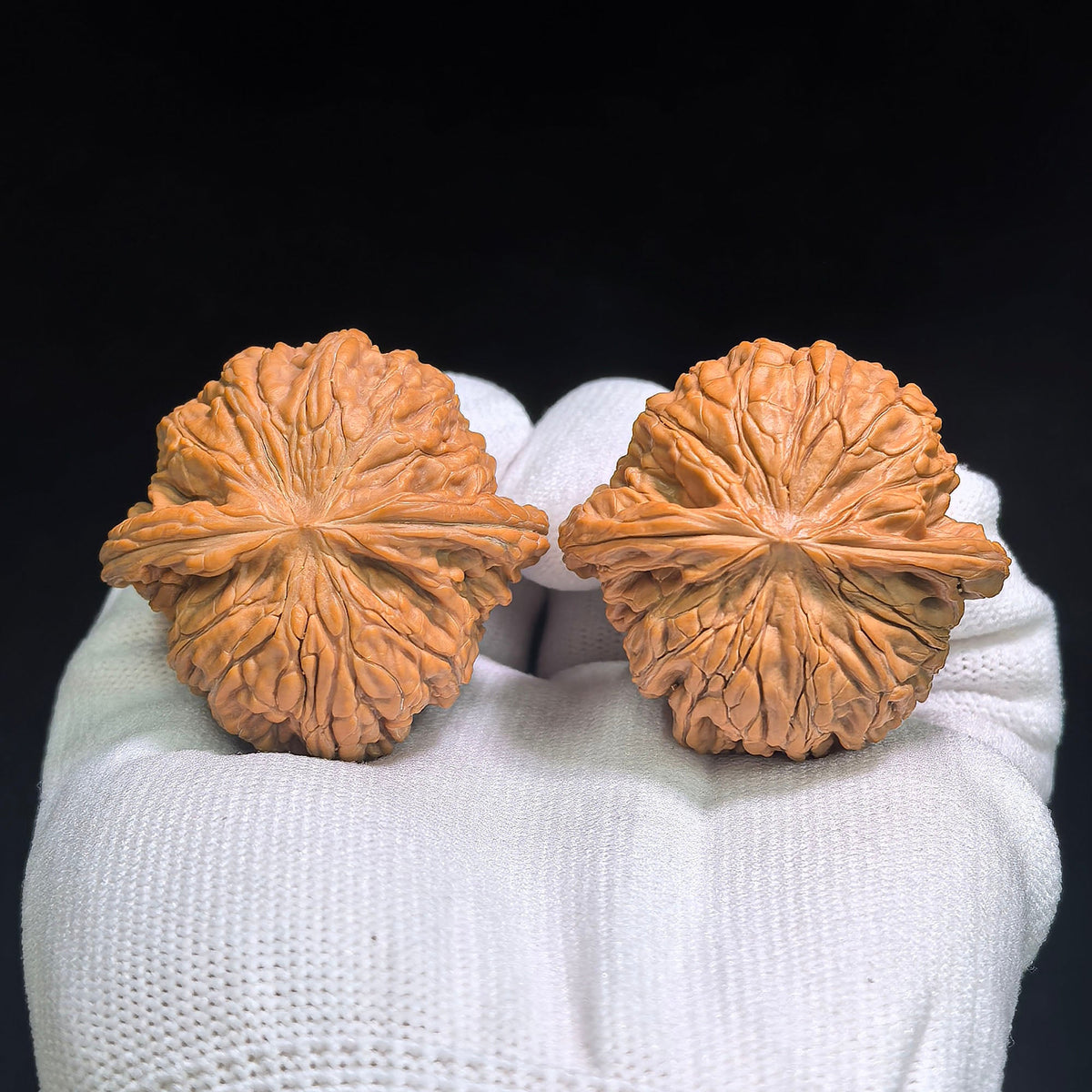 "Classic Mopan / Millstone" Heirloom Collection Wenwan Walnuts Pair | 42.0mm x 41.0mm | MP-1002 - ThePatinaProject