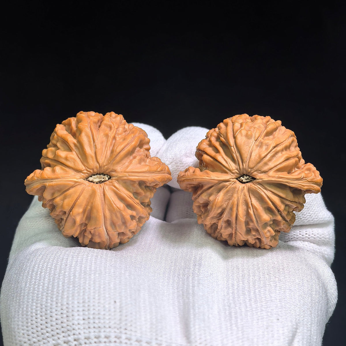 "Classic Mopan / Millstone" Heirloom Collection Wenwan Walnuts Pair | 42.0mm x 41.0mm | MP-1002 - ThePatinaProject