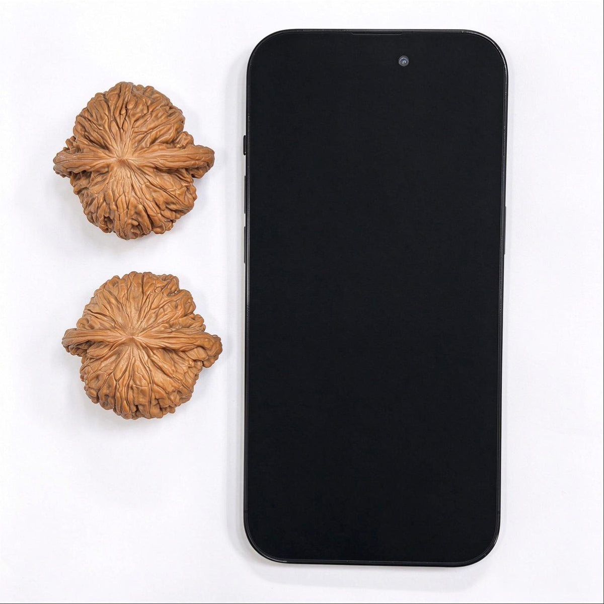"Classic Mopan / Millstone" Heirloom Collection Wenwan Walnuts Pair | 42.0mm x 41.0mm | MP-1002 - ThePatinaProject