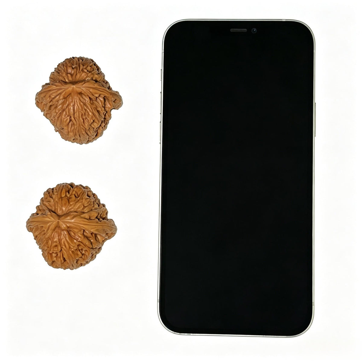 "Classic Nanjiang Stone" Nanjiangshi Wenwan Walnuts Pair | 39.0mm x 40.0mm | NJS-1104 - ThePatinaProject
