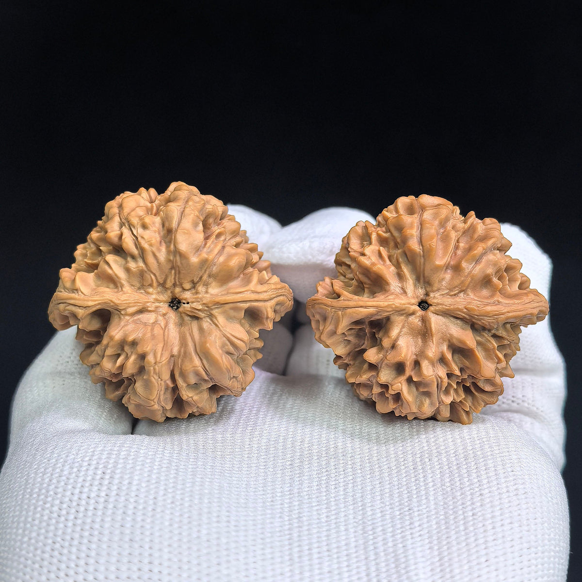 Classic Official Hat Wenwan Walnut Pair | 40.0mm × 36.0mm | GM-SY1I0 - ThePatinaProject