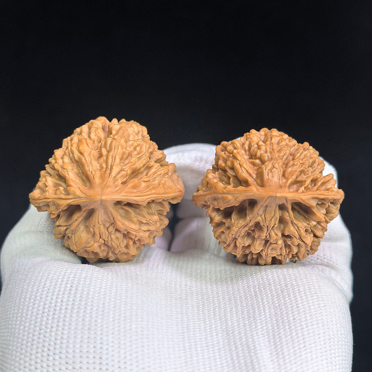 Classic Official Hat Wenwan Walnut Pair | 40.0mm × 36.0mm | GM-SY1I0 - ThePatinaProject