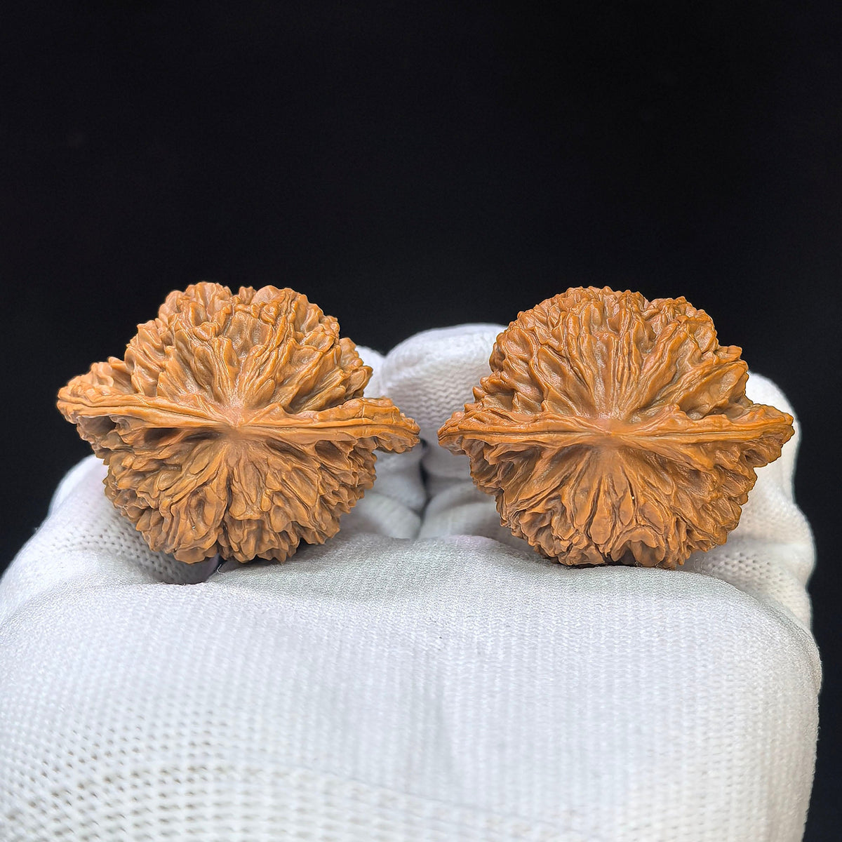 “Coiled Dragon Pattern” Panlong Wenwan Walnut Pair | Broad Low-Profile Form | 43.0mm × 34.0mm | PLW-1103 - ThePatinaProject
