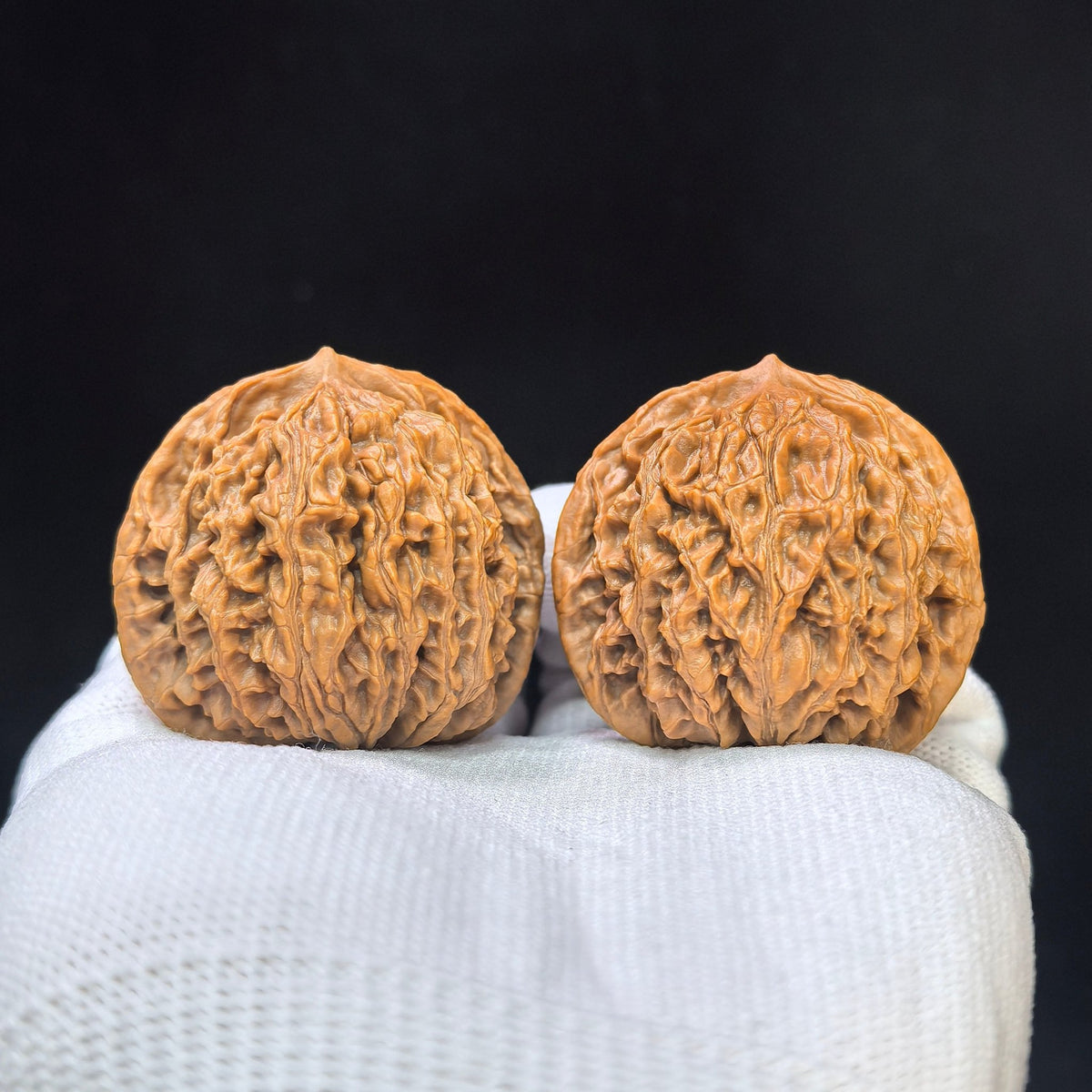 “Coiled Dragon Pattern” Panlong Wenwan Walnut Pair | Broad Low-Profile Form | 43.0mm × 34.0mm | PLW-1103 - ThePatinaProject