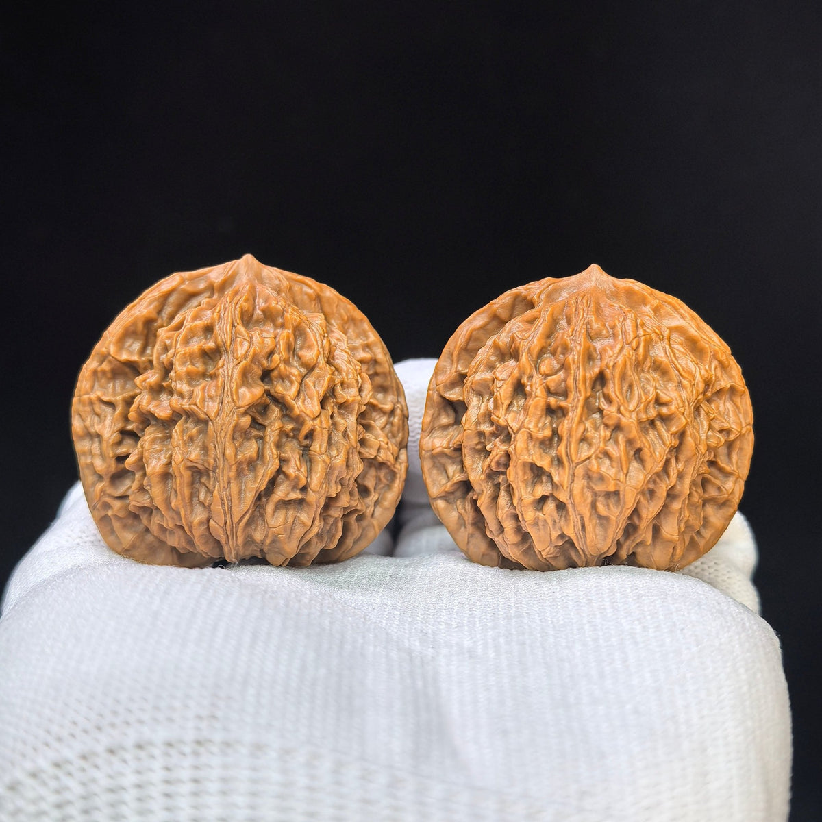 “Coiled Dragon Pattern” Panlong Wenwan Walnut Pair | Broad Low-Profile Form | 43.0mm × 34.0mm | PLW-1103 - ThePatinaProject