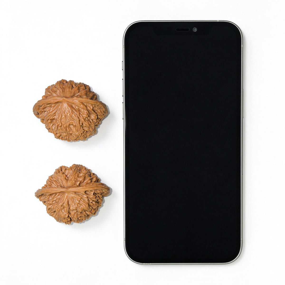 “Coiled Dragon Pattern” Panlong Wenwan Walnut Pair | Broad Low-Profile Form | 43.0mm × 34.0mm | PLW-1103 - ThePatinaProject