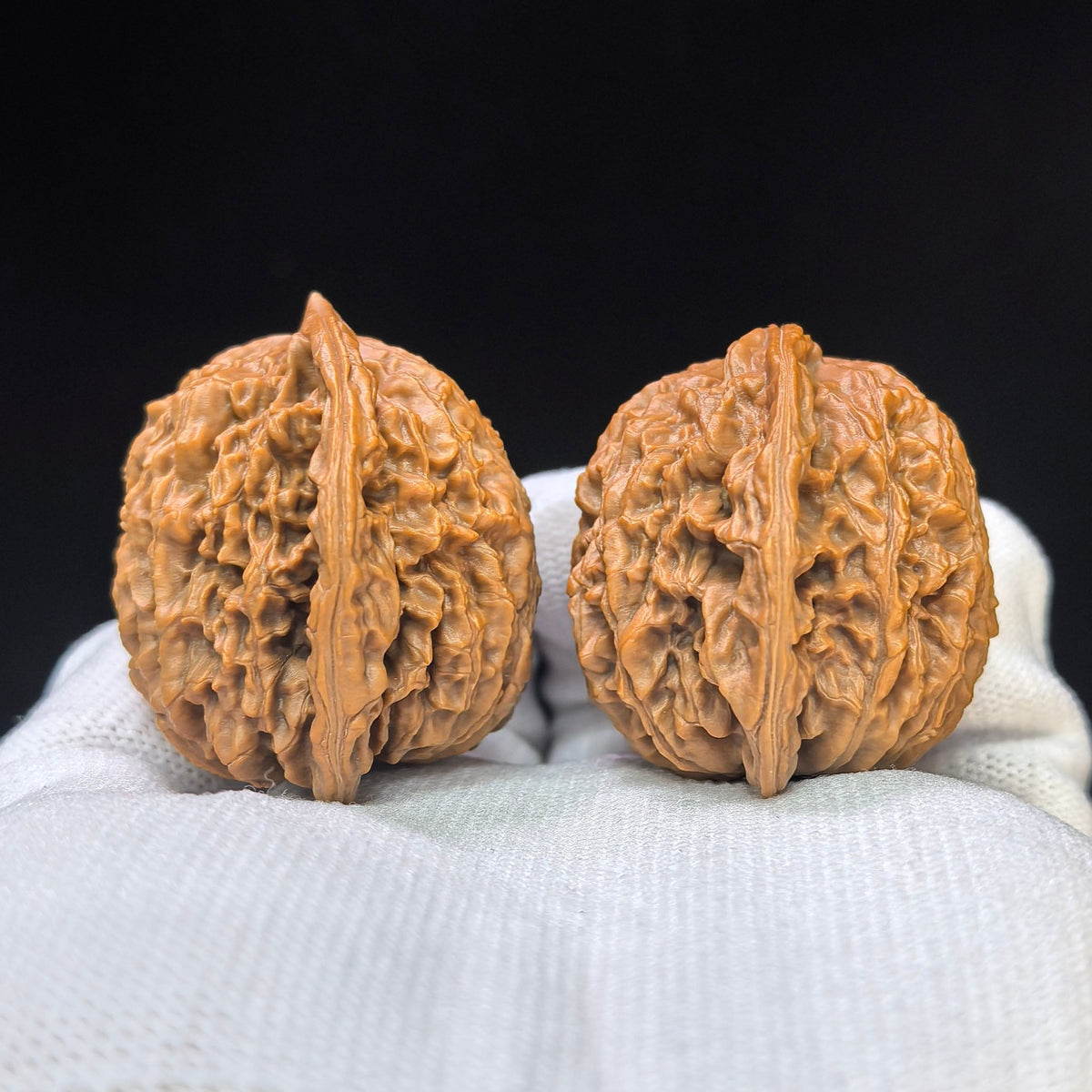 “Coiled Dragon Pattern” Panlong Wenwan Walnut Pair | Broad Low-Profile Form | 43.0mm × 34.0mm | PLW-1103 - ThePatinaProject