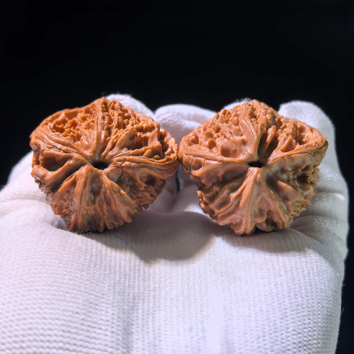 Collector-Grade "Dagu Stone" Snake-Head (She Tou) Treasure Basin | 38.0mm x 33.0mm | DKSST-1202E - ThePatinaProject