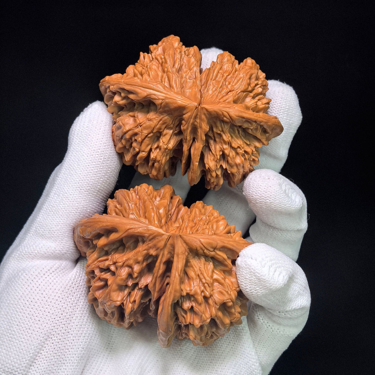 Collector Grade Qilin-Pattern Conjoined Scholar Walnut Pair — 62.0mm x 51.0mm | QLWLT-CWA4E - ThePatinaProject
