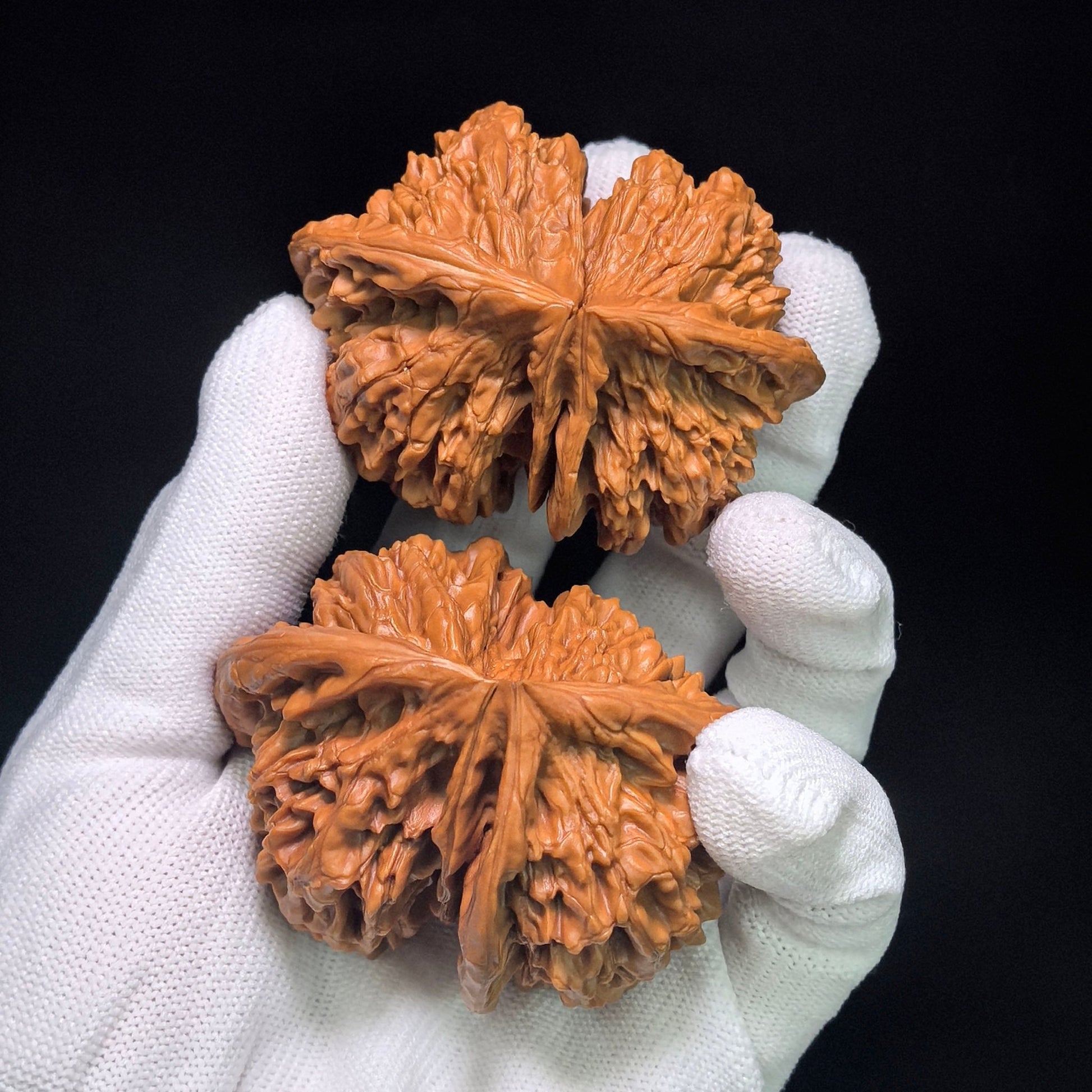 Collector Grade Qilin-Pattern Conjoined Scholar Walnut Pair — 62.0mm x 51.0mm | QLWLT-CWA4E - ThePatinaProject