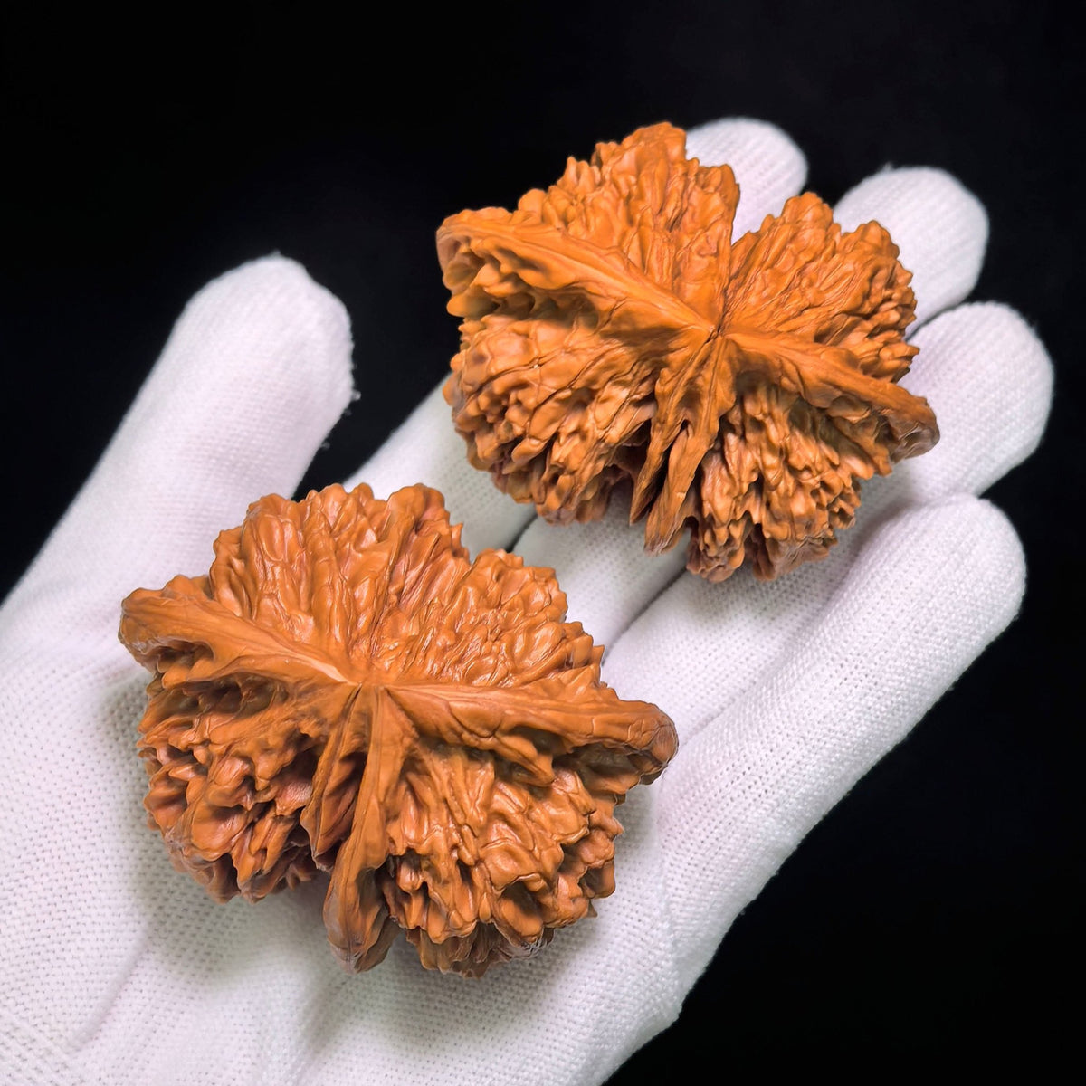 Collector Grade Qilin-Pattern Conjoined Scholar Walnut Pair — 62.0mm x 51.0mm | QLWLT-CWA4E - ThePatinaProject