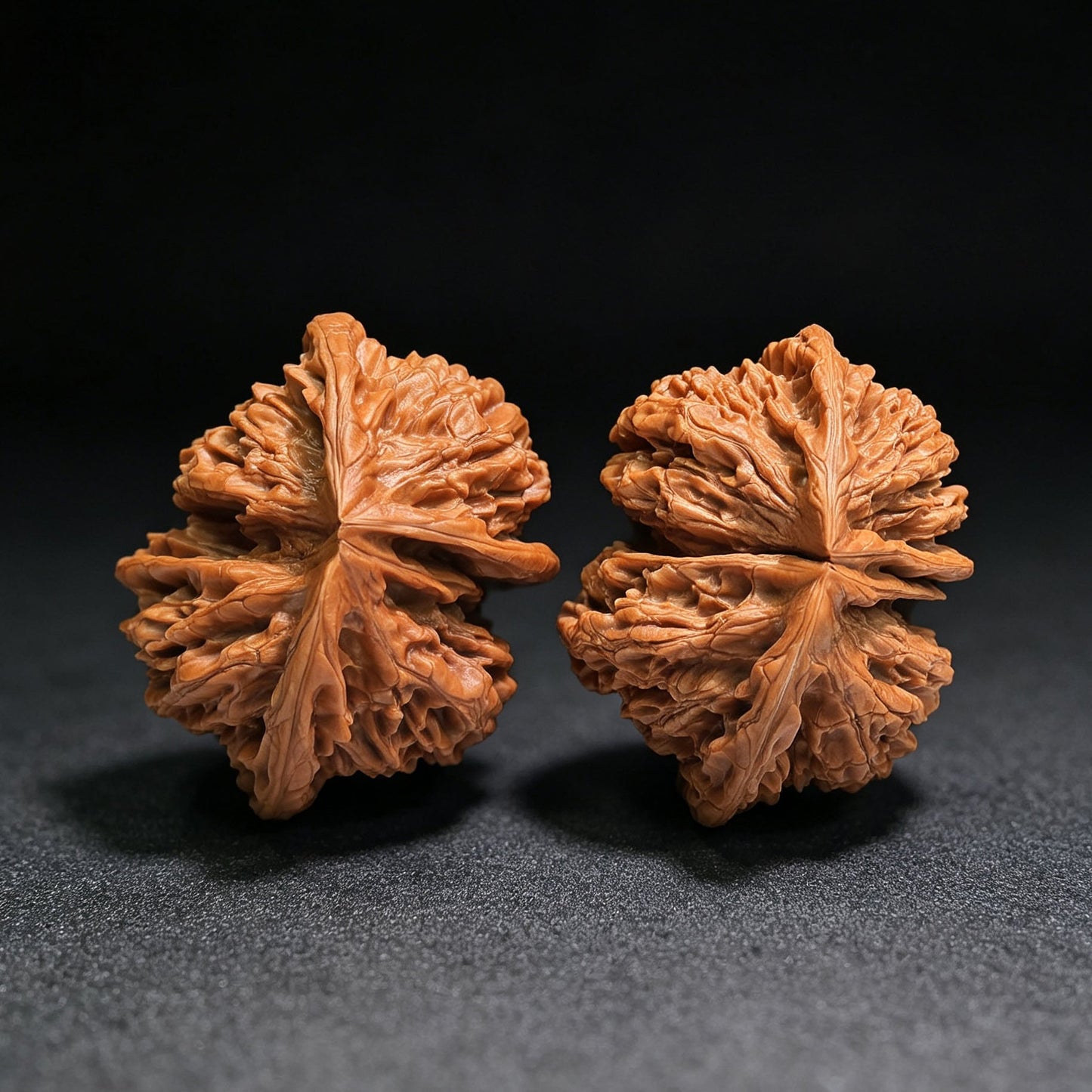 Collector Grade Qilin-Pattern Conjoined Scholar Walnut Pair — 62.0mm x 51.0mm | QLWLT-CWA4E - ThePatinaProject